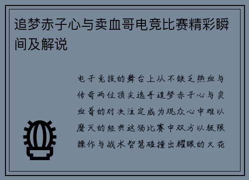追梦赤子心与卖血哥电竞比赛精彩瞬间及解说